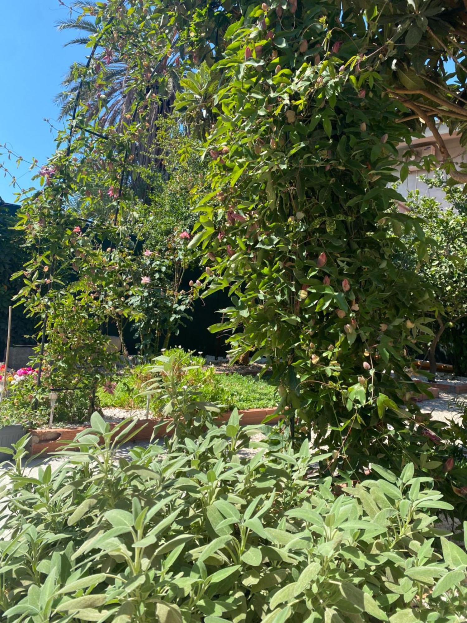 Villa Tesori Del Sinis Cabras Exterior foto
